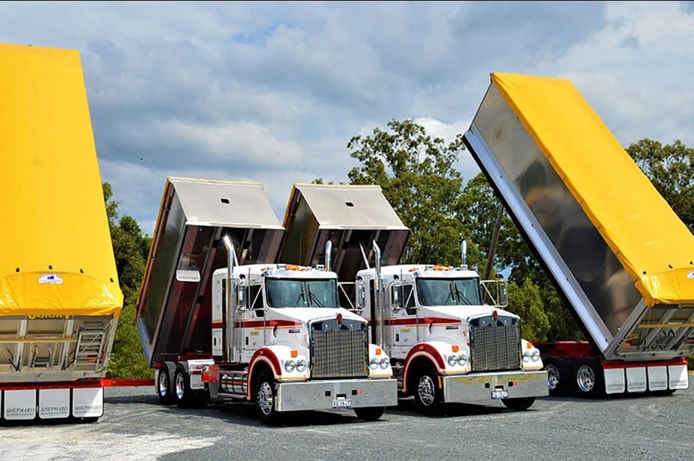 Fleet of Truck & Dog
